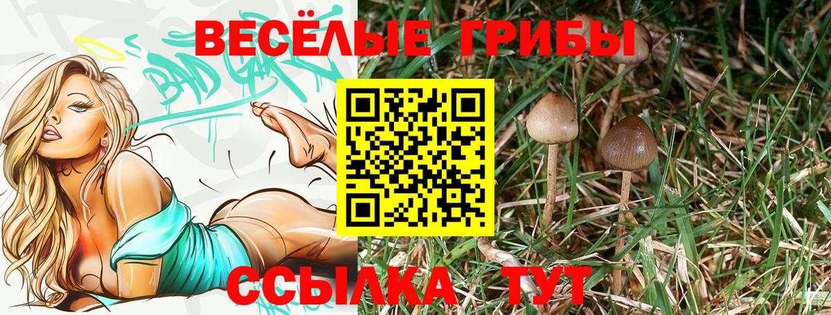 Галлюциногенные грибы прущие грибы Нальчик
